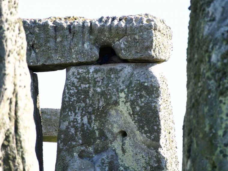 010_ stonehenge